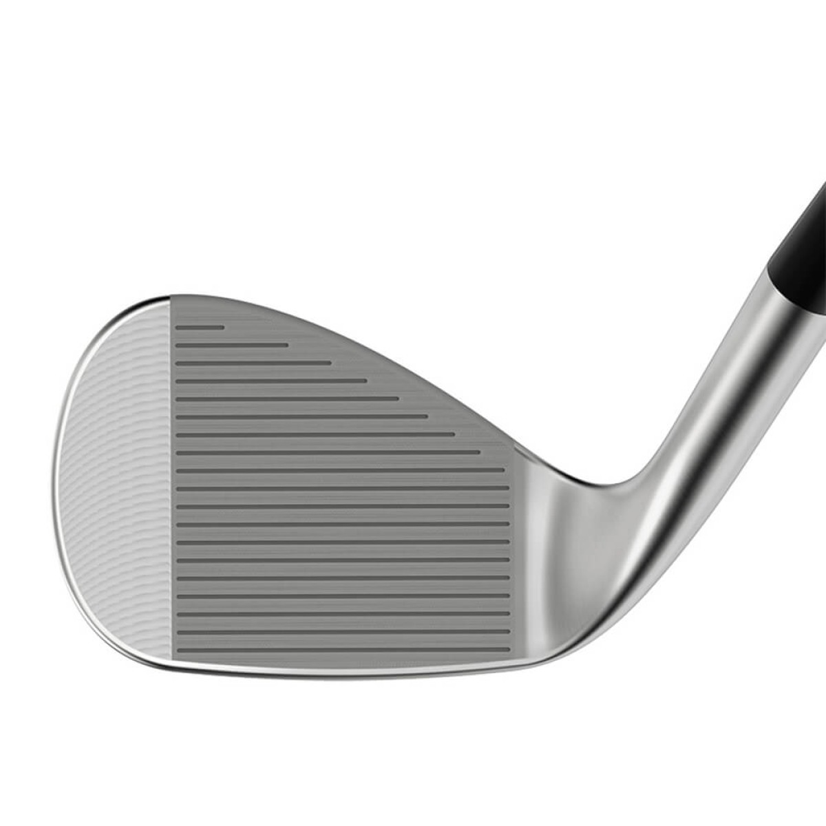 Custom Cleveland RTZ Tour Satin Wedge in Silver - Alternate