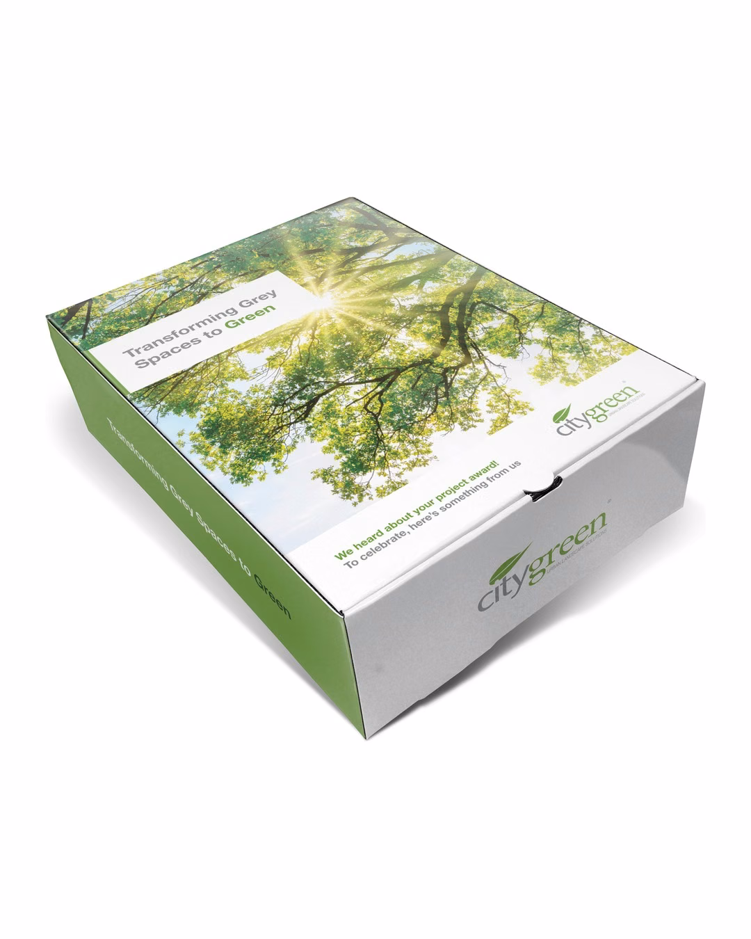 Custom Atlas Custom Presentation Box - 10" x 14" x 4"