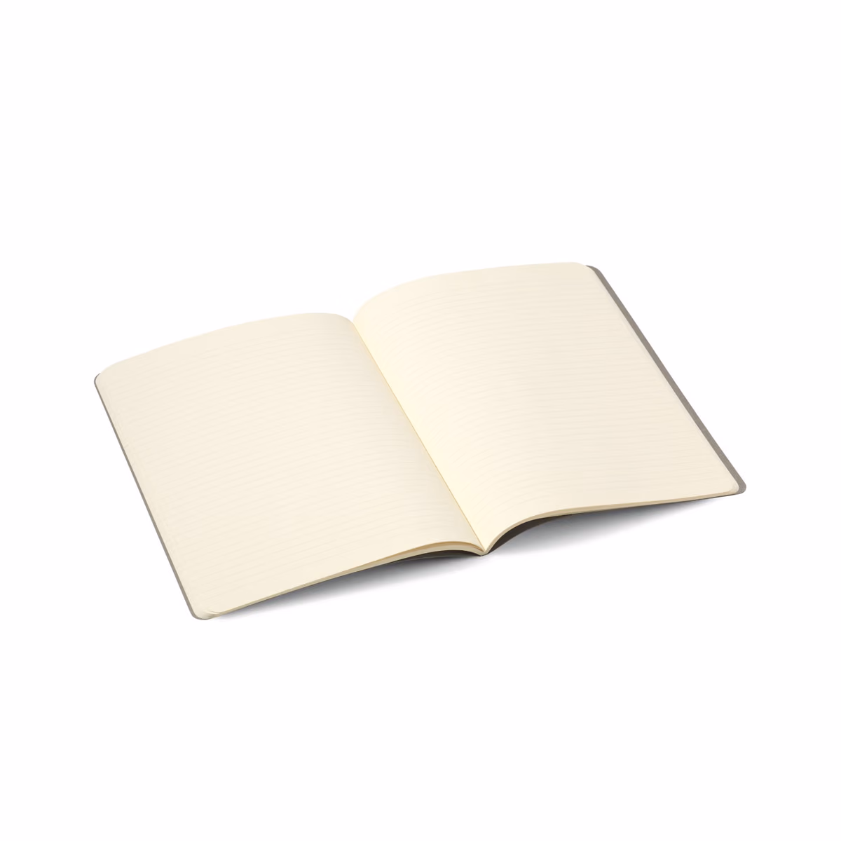 Custom Moleskine Cahier Ruled X-Large Journal, Kraft