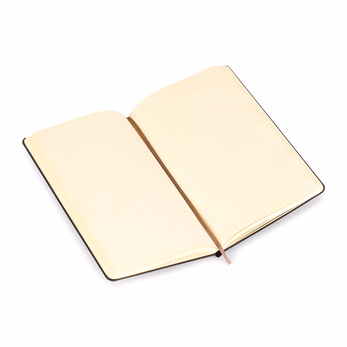 Custom Moleskine Hard Cover Dotted Large Notebook, Black