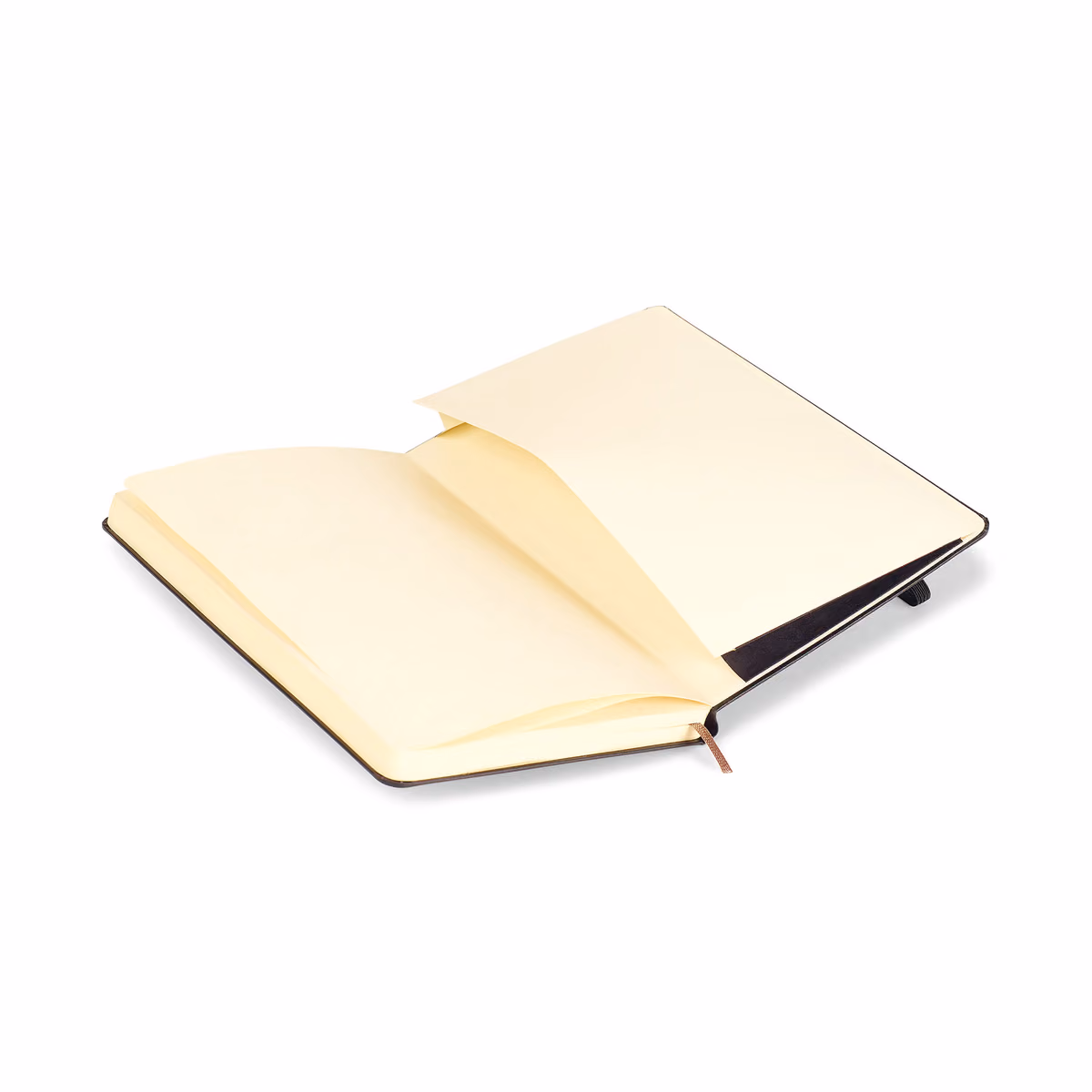 Custom Moleskine Hard Cover Dotted Large Notebook, Black