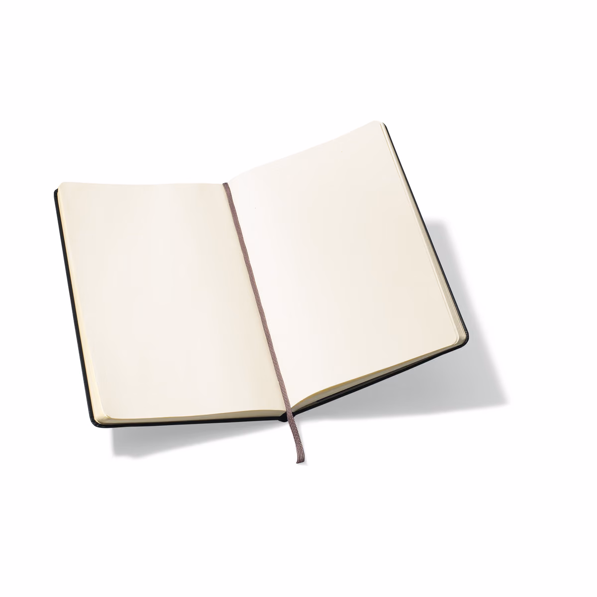 Custom Moleskine Hard Cover Plain Large Notebook, Black
