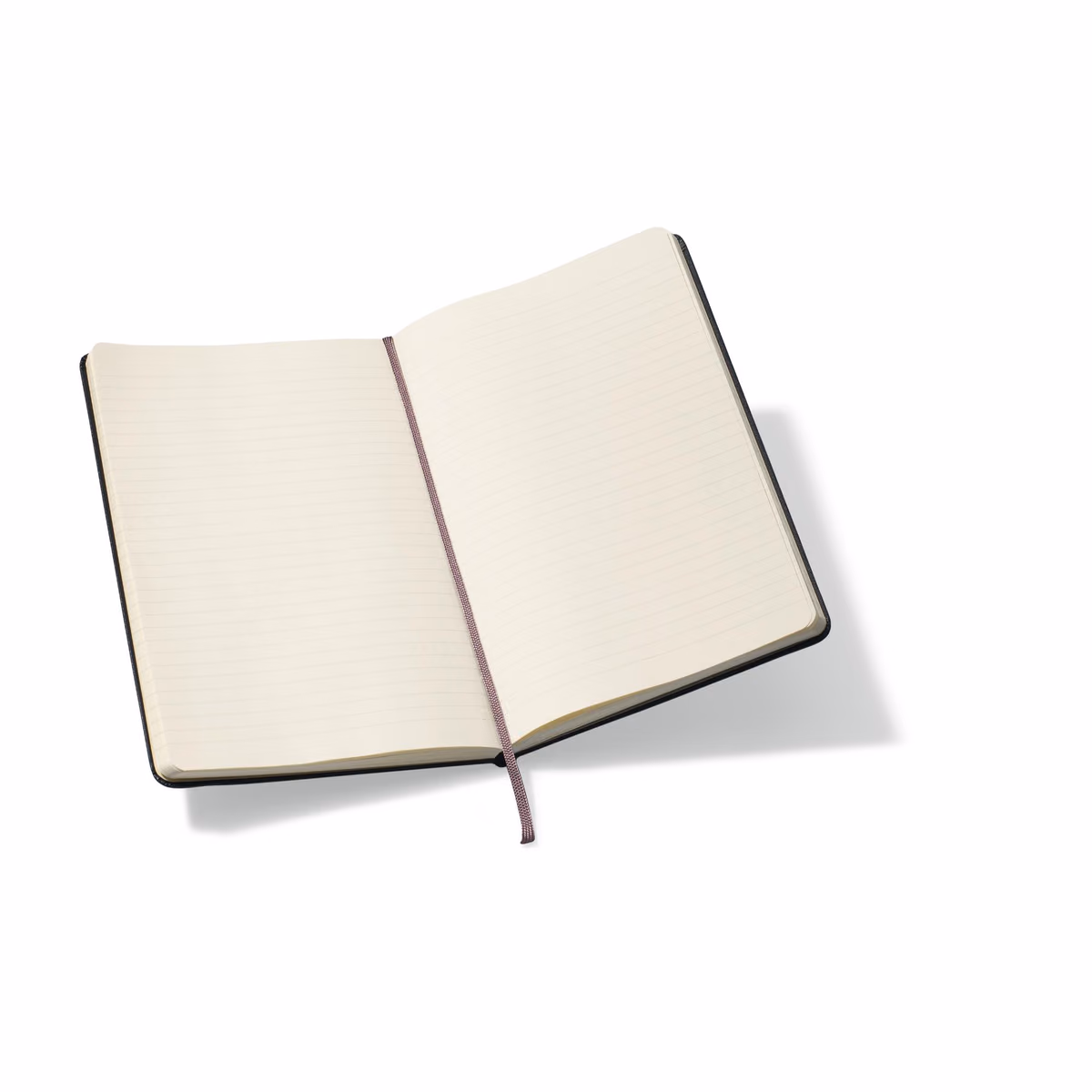 Moleskine