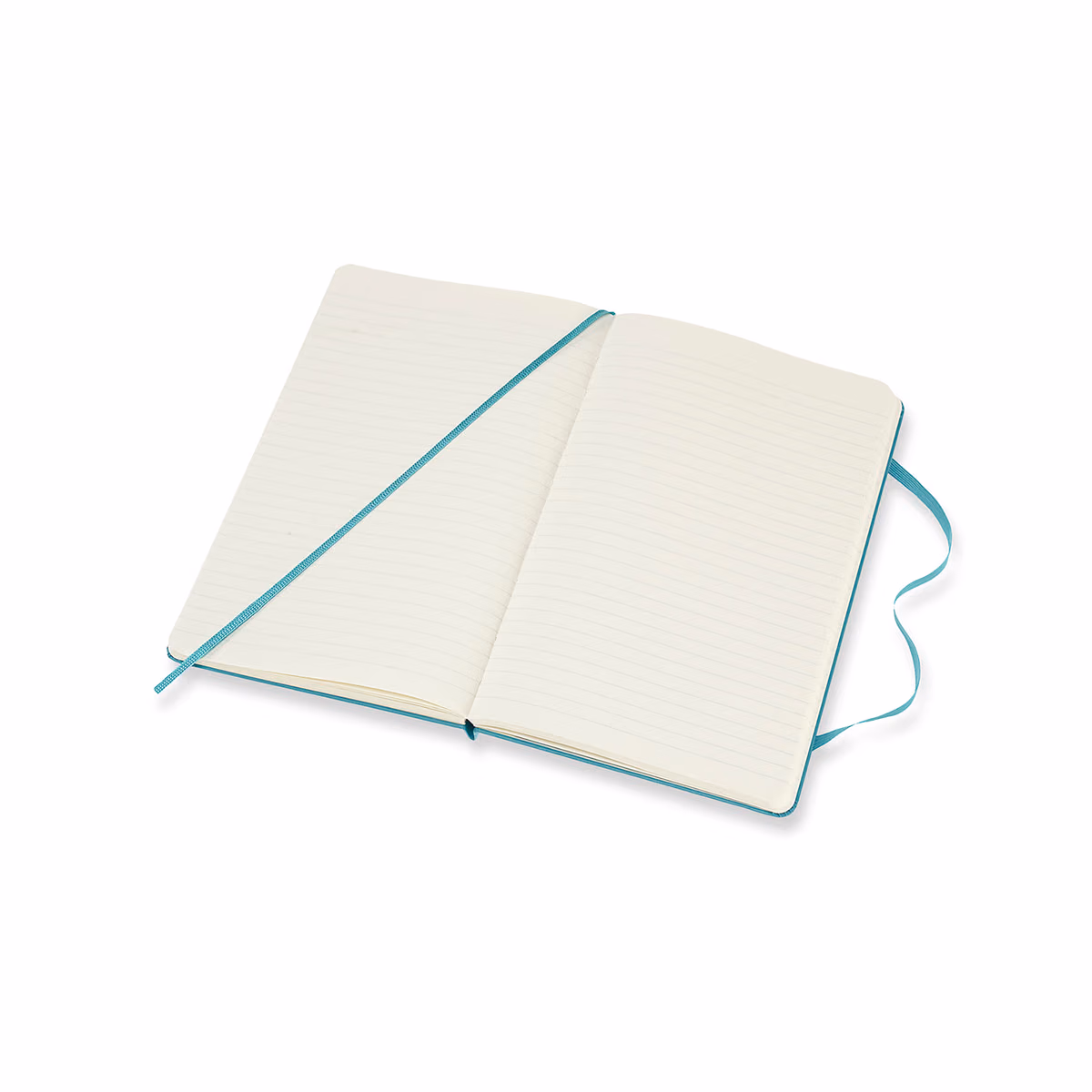 Custom Moleskine Hard Cover Ruled Large Notebook, Reef Blue