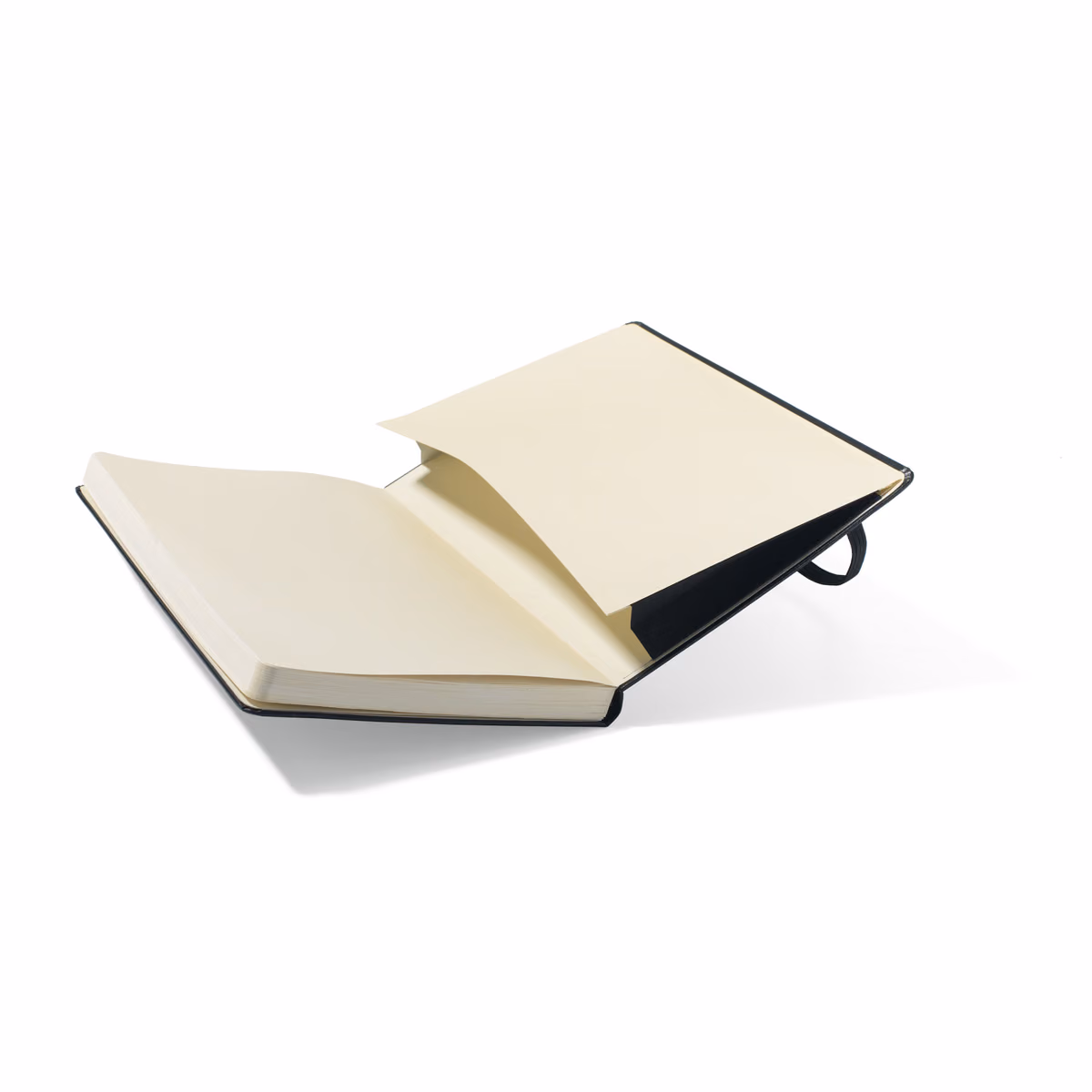 Custom Moleskine Hard Cover Squared Large Notebook