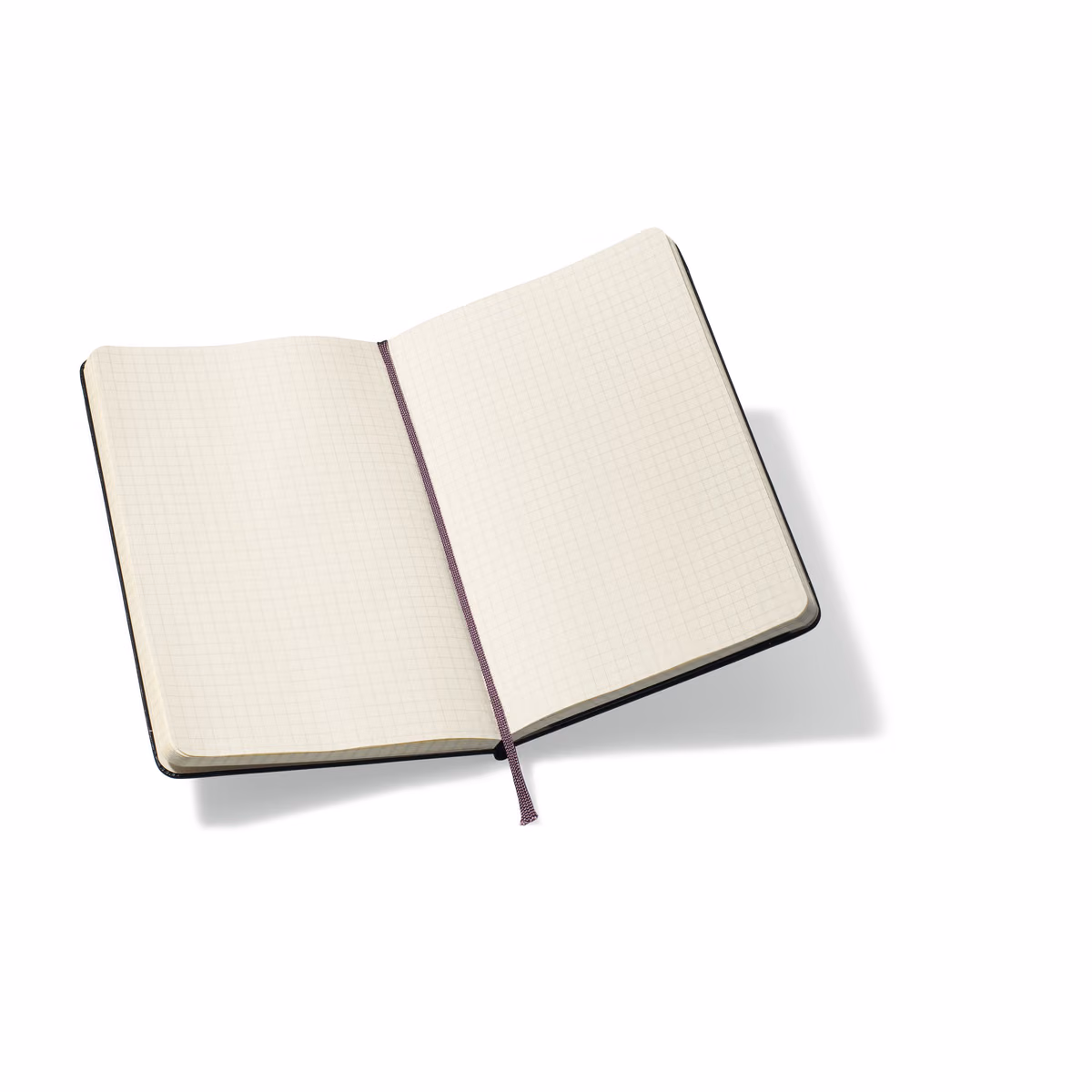 Custom Moleskine Hard Cover Squared Large Notebook, Black