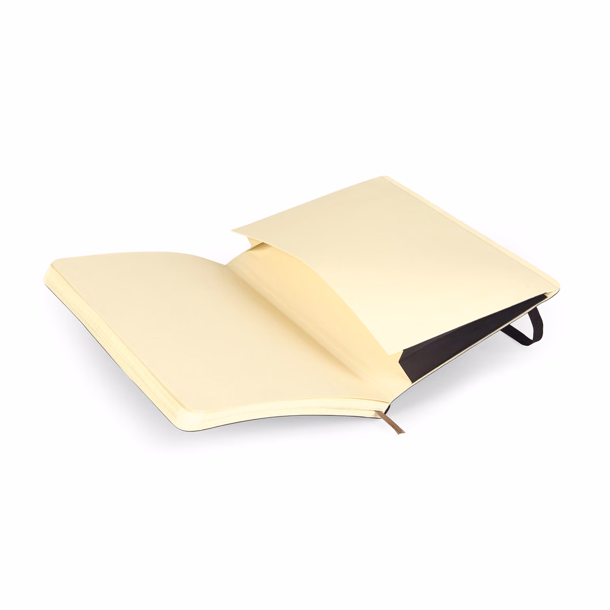 Custom Moleskine Soft Cover Squared Large Notebook, Black