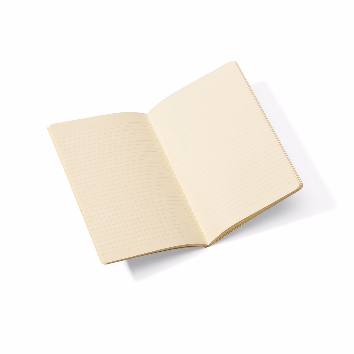 Custom Moleskine Volant Ruled Large Journal, Black