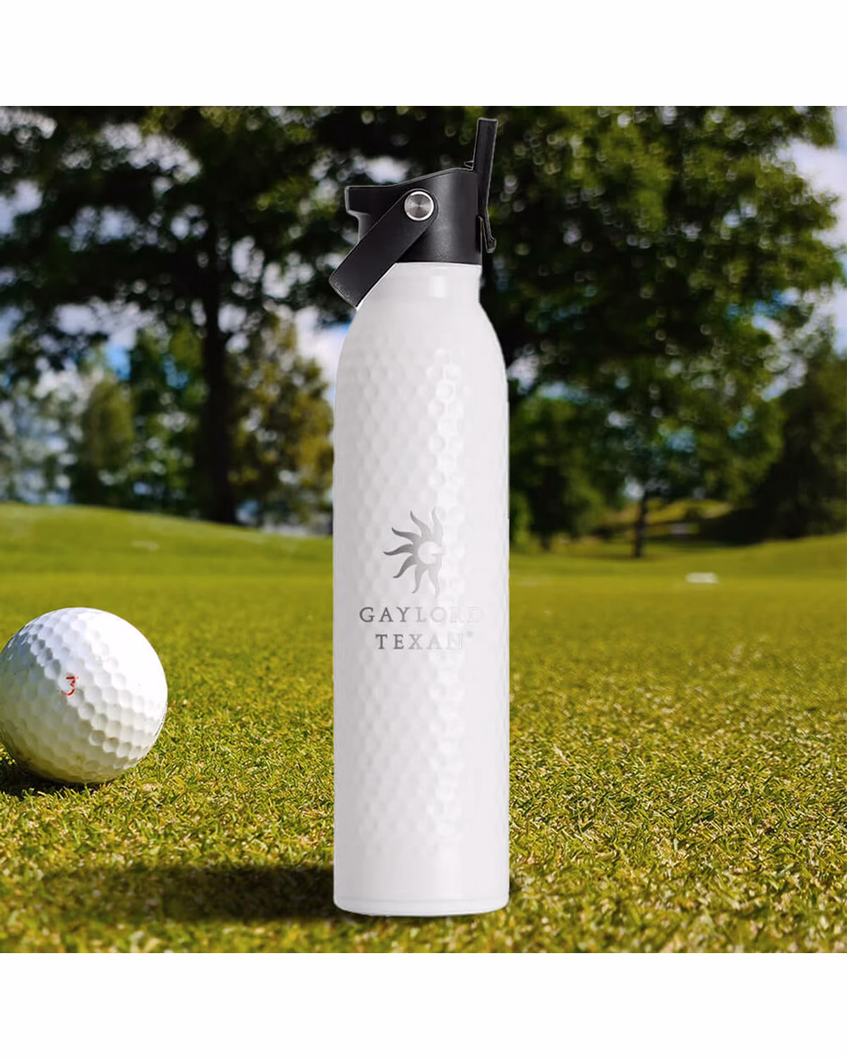 Custom Swig Golf Partee Flip + Sip 20oz Bottle, Engraved