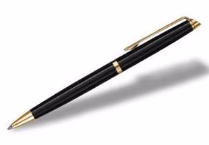 Custom Waterman Hemisphere Ballpoint Pen (Stainless Steel GT)